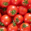 Les principaux bienfaits de la tomate pour la santé