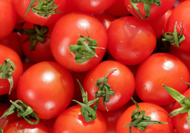 Les principaux bienfaits de la tomate pour la santé